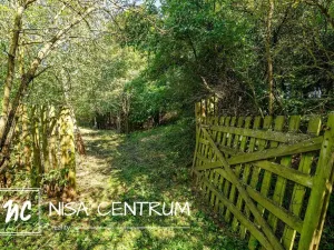 Prodej lesa, Obruby, 3075 m2