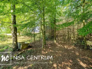 Prodej lesa, Obruby, 3075 m2