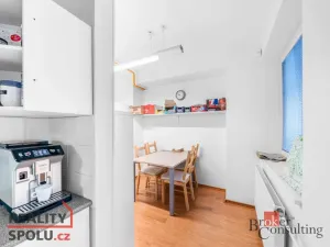 Pronájem rodinného domu, Průhonice, U Křížku, 447 m2