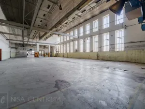 Pronájem výrobních prostor, Hostinné, 6000 m2