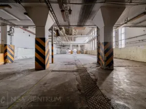 Pronájem výrobních prostor, Hostinné, 6000 m2