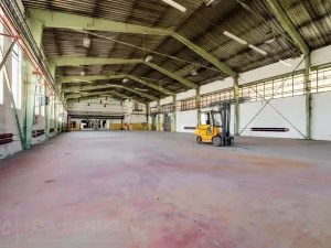 Pronájem výrobních prostor, Hostinné, 6000 m2
