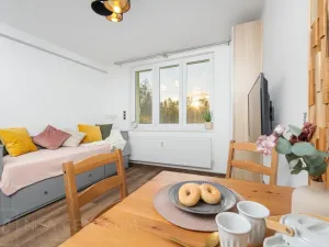 Pronájem bytu 1+kk, Velké Hamry, 27 m2