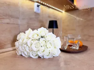 Prodej bytu 1+kk, Benešov nad Ploučnicí, Nádražní, 16 m2