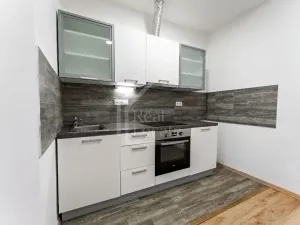 Prodej bytu 1+1, Praha - Nusle, Oldřichova, 48 m2