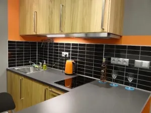 Pronájem bytu 1+kk, Praha - Vinohrady, Sázavská, 35 m2