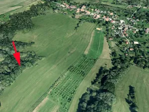 Prodej lesa, Stružnice, 3736 m2