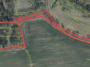 Prodej lesa, Tuchořice, 13223 m2