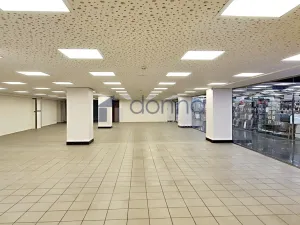 Pronájem obchodního prostoru, Praha, Na Poříčí, 360 m2