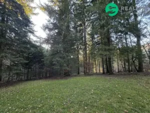 Prodej lesa, Vsetín, Semetín, 96946 m2