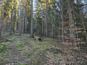 Prodej lesa, Vsetín, Semetín, 96946 m2