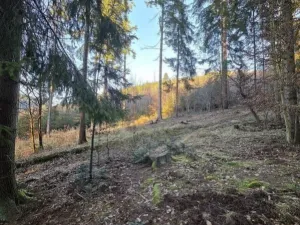 Prodej lesa, Vsetín, Semetín, 96946 m2