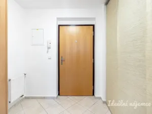 Pronájem bytu 1+kk, Praha - Vinohrady, Lucemburská, 40 m2