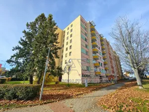 Prodej bytu 4+1, České Budějovice, Netolická, 85 m2