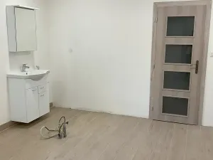 Pronájem komerční nemovitosti, Hořátev, 22 m2