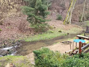 Prodej chaty, Borotice, 26 m2