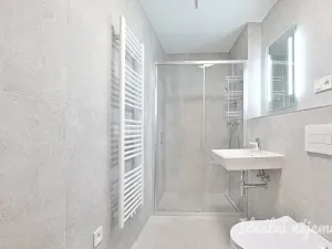 Pronájem bytu 1+kk, Brno, Dornych, 37 m2