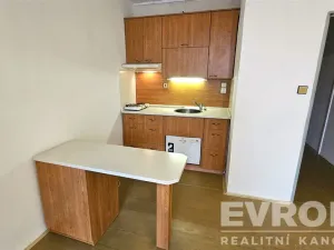Prodej bytu 1+kk, Pardubice - Ohrazenice, Trnovská, 34 m2