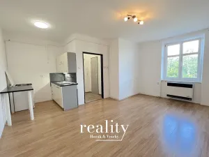 Pronájem bytu 1+kk, Znojmo, Růženy Svobodové, 31 m2