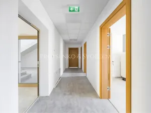 Pronájem kanceláře, Velká Bíteš, 270 m2