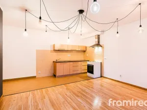 Pronájem bytu 2+kk, Brno, Starobrněnská, 50 m2