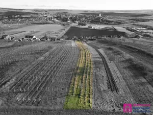 Prodej sadu/vinice, Bořetice, 2567 m2