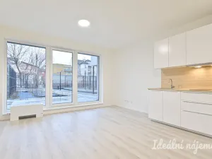 Pronájem bytu 1+kk, Brno, Dornych, 30 m2