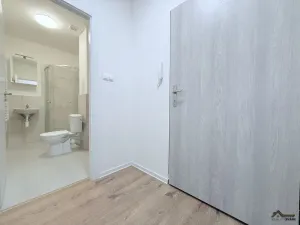 Pronájem bytu 1+kk, Ostrava, Palackého, 27 m2