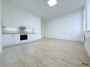 Pronájem bytu 2+kk, Ostrava, Palackého, 55 m2