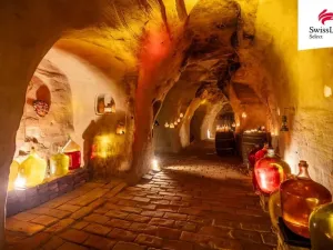 Prodej ubytování, Nový Šaldorf-Sedlešovice, Na Staré cestě, 176 m2