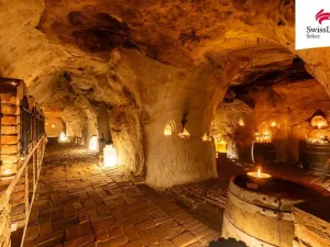 Prodej ubytování, Nový Šaldorf-Sedlešovice, Na Staré cestě, 176 m2