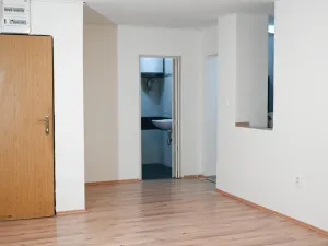 Pronájem bytu 1+1, Praha - Nusle, Družstevní, 36 m2