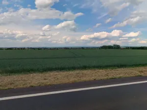 Prodej podílu pole, Běrunice, 20083 m2