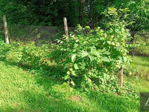 Prodej zahrady, Uherský Brod, 1078 m2