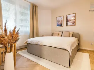 Prodej bytu 2+kk, Brno, Bělohorská, 48 m2