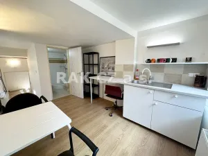 Pronájem bytu 1+kk, Praha - Libeň, Na Truhlářce, 38 m2