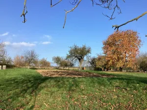 Prodej rodinného domu, Laškov, 80 m2