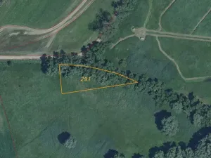 Dražba louky, Střížovice, 2388 m2