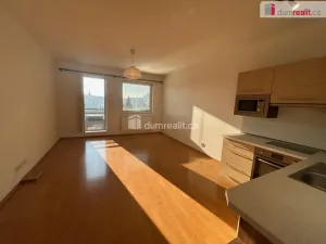Pronájem bytu 1+kk, Kolín - Kolín V, Mlýnská, 33 m2