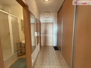Pronájem bytu 1+kk, Kolín - Kolín V, Mlýnská, 33 m2
