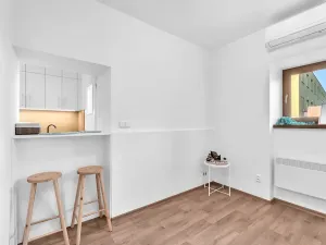Pronájem bytu 1+kk, Vamberk, Žamberecká, 32 m2