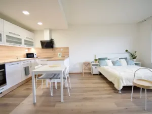 Pronájem bytu 1+kk, Olomouc - Povel, Slavonínská, 41 m2