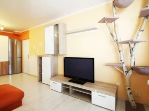 Pronájem bytu 2+kk, Olomouc - Nová Ulice, Pionýrská, 54 m2