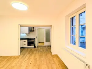 Pronájem bytu 1+kk, Praha - Vinohrady, Bořivojova, 33 m2