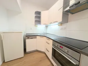 Pronájem bytu 1+kk, Praha - Vinohrady, Bořivojova, 33 m2