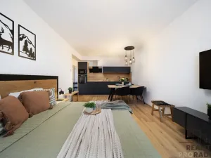 Prodej bytu 2+kk, Lipno nad Vltavou, 5255 m2