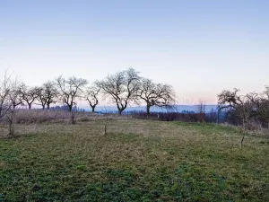Prodej zahrady, Chotěboř, Hromádky z Jistebnice, 5327 m2