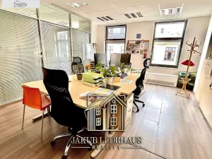 Pronájem kanceláře, Praha - Nové Město, Vladislavova, 974 m2