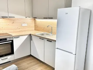 Pronájem bytu 1+kk, Kladno, Štěpána Rautenstraucha, 31 m2