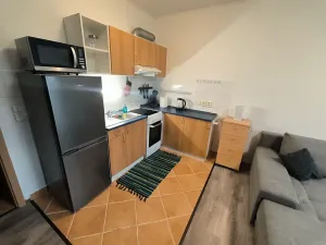 Pronájem bytu 1+kk, Ústí nad Labem, Baráčnická, 33 m2